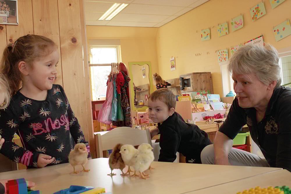 Peuteropvang-blauwhuis